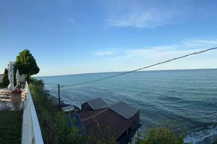 White Shark * 里托楚伦