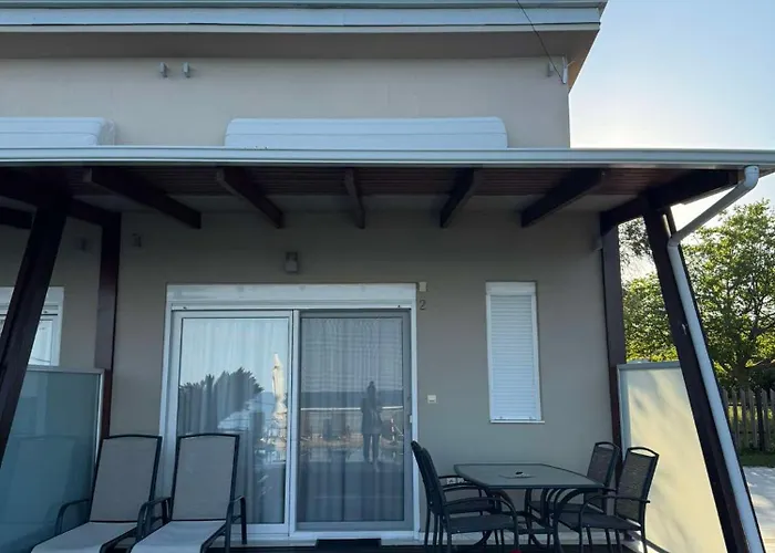 White Shark * 里托楚伦